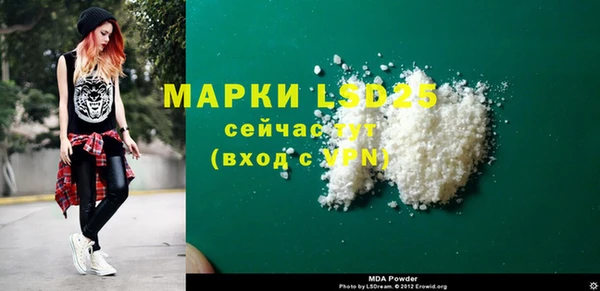 ПСИЛОЦИБИНОВЫЕ ГРИБЫ Вязники