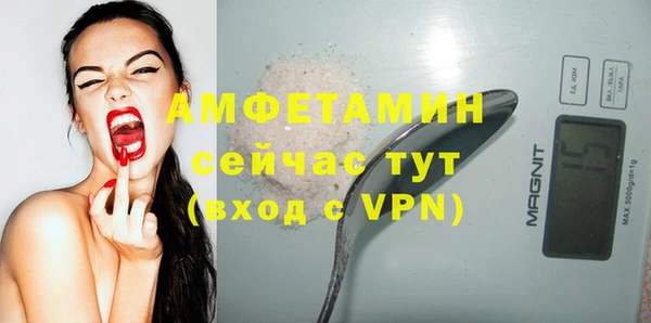 ПСИЛОЦИБИНОВЫЕ ГРИБЫ Вязники