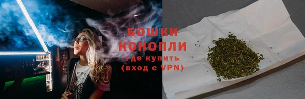 ПСИЛОЦИБИНОВЫЕ ГРИБЫ Вязники