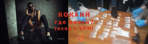 шишки Горнозаводск