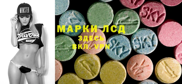 ПСИЛОЦИБИНОВЫЕ ГРИБЫ Вязники