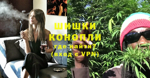 хмурый Струнино