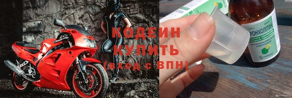 ПСИЛОЦИБИНОВЫЕ ГРИБЫ Вязники