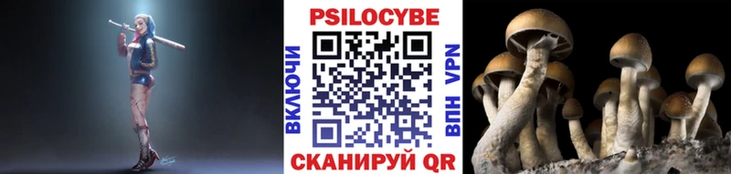 купить закладку  площадка формула  Псилоцибиновые грибы Psilocybine cubensis  Любим  OMG зеркало 
